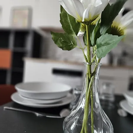 Ancien Fenetre Sur Cour Beaupréau-en-Mauges